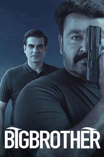 Big Brother (2020) UNCUT Hindi Dubbed Movie download full movie