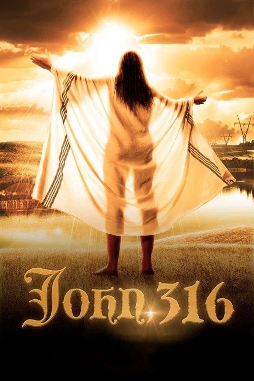 John 316 (2021) Hindi Dubbed Movie download full movie