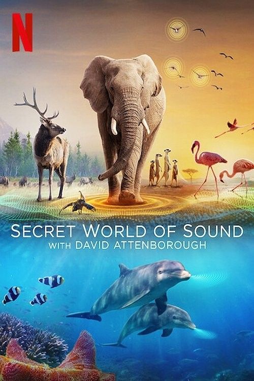 Secret World of Sound with David Attenborough (2024) Season 1 Hindi Dubbed Complete Series download full movie