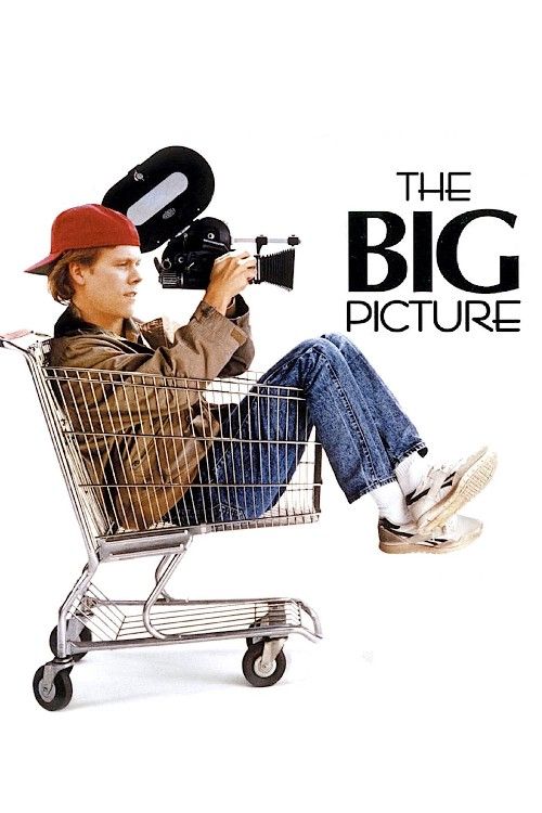 The Big Picture (1990) Hindi Dubbed Movie download full movie