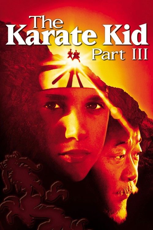 The Karate Kid Part III (1989) Hindi Dubbed Movie download full movie
